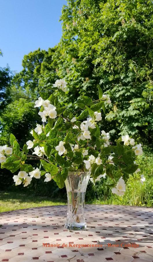 Rose Cottage Pontrieux Eksteriør billede